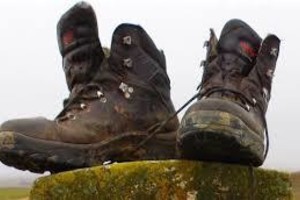 31e Avondvierdaagse