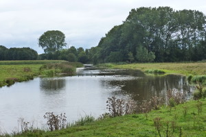 Publiekswandeling